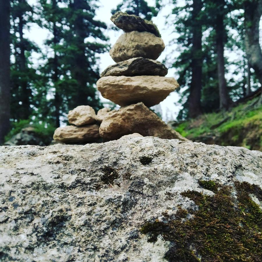 Shimla Pines Homestay エクステリア 写真