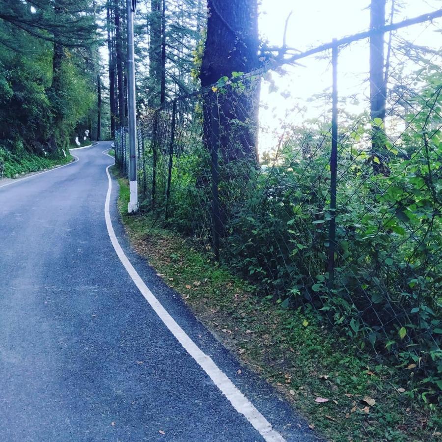 Shimla Pines Homestay エクステリア 写真