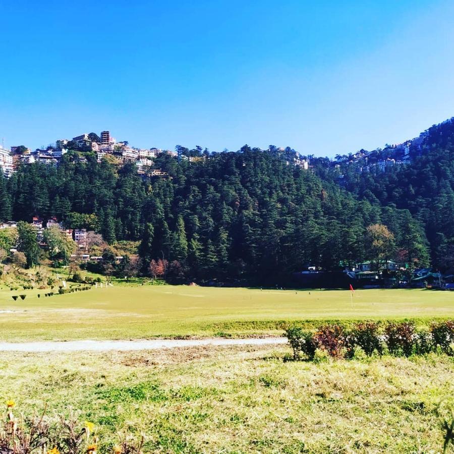 Shimla Pines Homestay エクステリア 写真